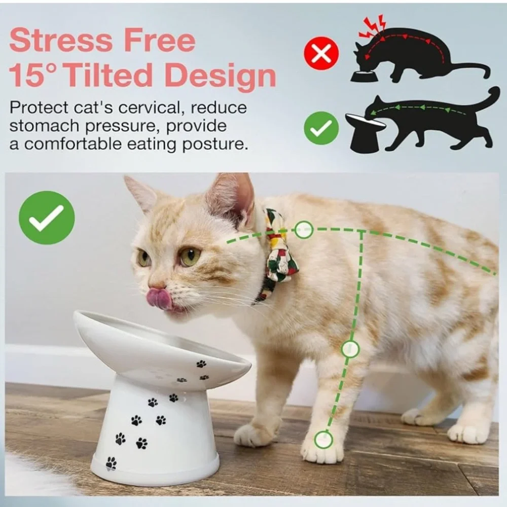 Necoichi Raised Ceramic Cat Bowl Extra Wide Tilted